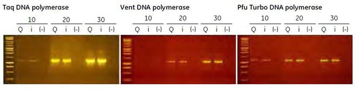 End-point PCR using several thermostable polymerases