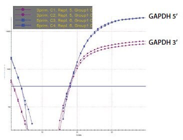GAPDH 3’/5’ Multiplex Assay RNA Sample