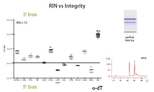 RNA Quality Determination