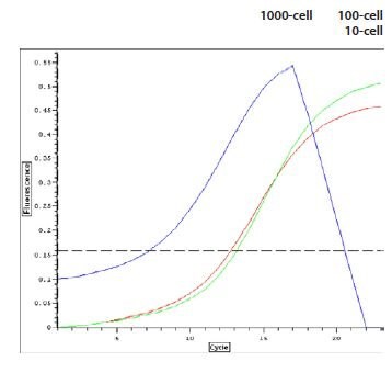 RNA Amplification Profiles RNA Amplification Profiles