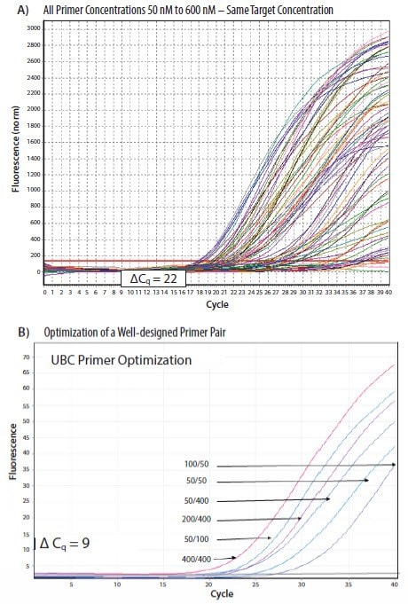 Results from a PCR primers concentration optimization from a SYBR Green I dye assay