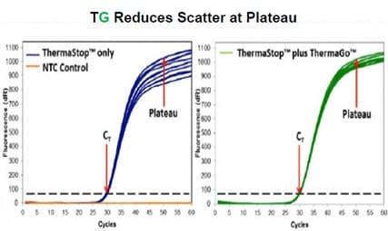 ThermaGo™ additive is active during amplification