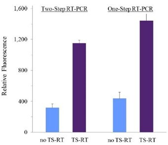 The ThermaStop™-RT additive greatly increases probe signals for detecting Hepatitis C Virus (HCV) RNA sequence using either two-step or one-step RT-PCR.