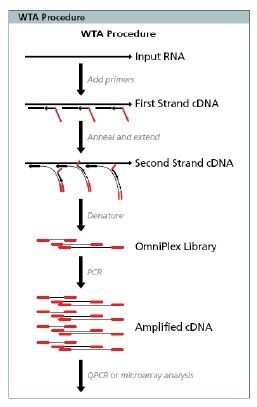 Transplex WTA Methodology1 Transplex WTA Methodology1