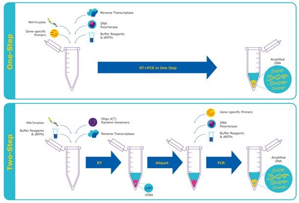 Diagram comparing one-step RT-qPCR workflow vs two-step RT-qPCR workflow.