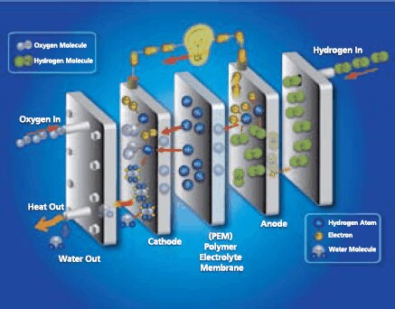Illustration of polymer electrolyte membrane fuel cell operating on hydrogen fuel and oxygen from air. Illustration of polymer electrolyte membrane fuel cell operating on hydrogen fuel and oxygen from air.