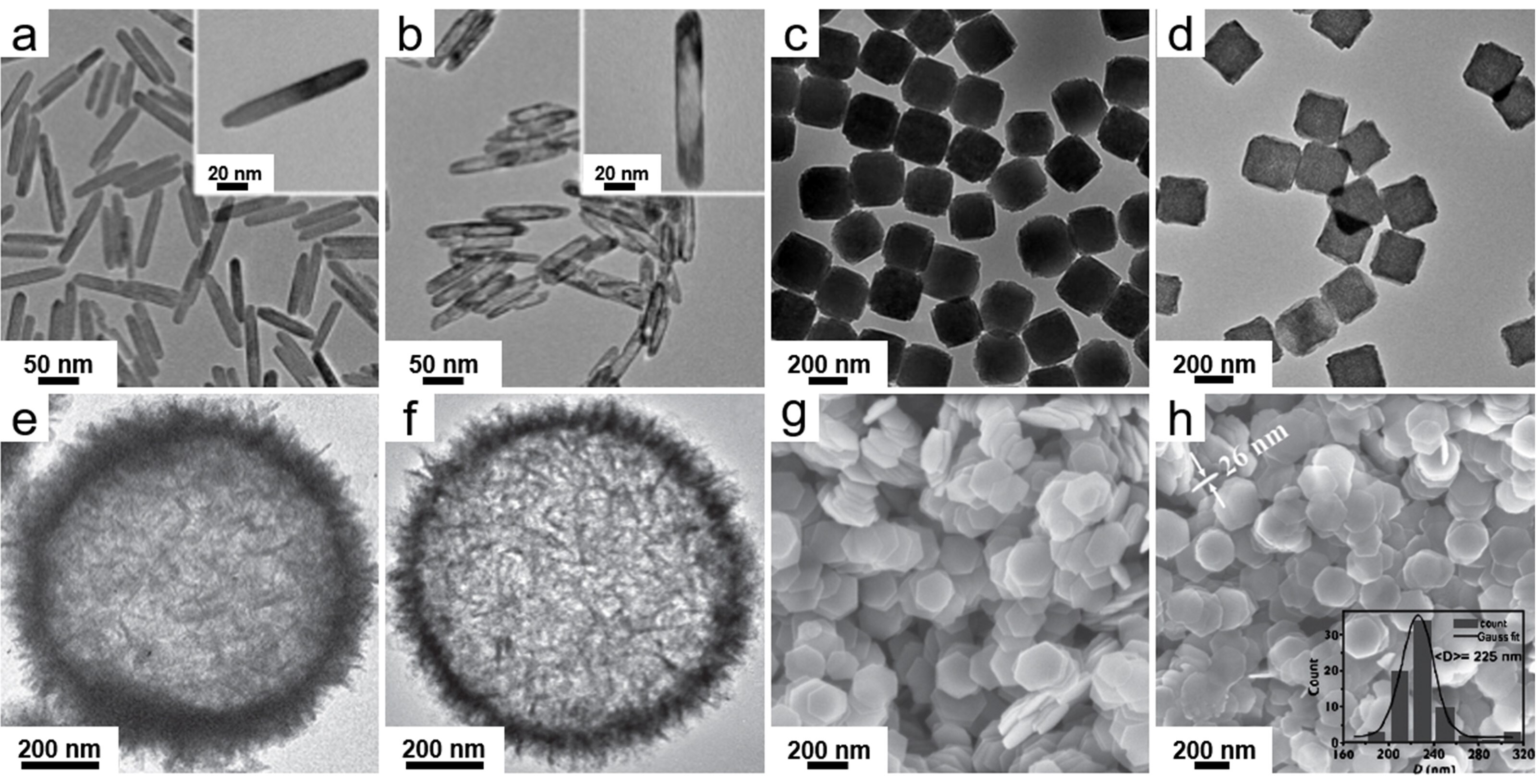 TEM images of β-FeOOH nanorods and PB nanocubes
