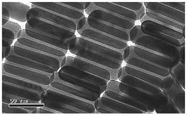TEM image of gold nanorods