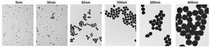 TEM images of 5 nm (left) and 400 nm (right) gold nanoparticles with <8% CV