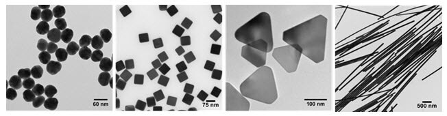 Transmission electron micrographs demonstrating
