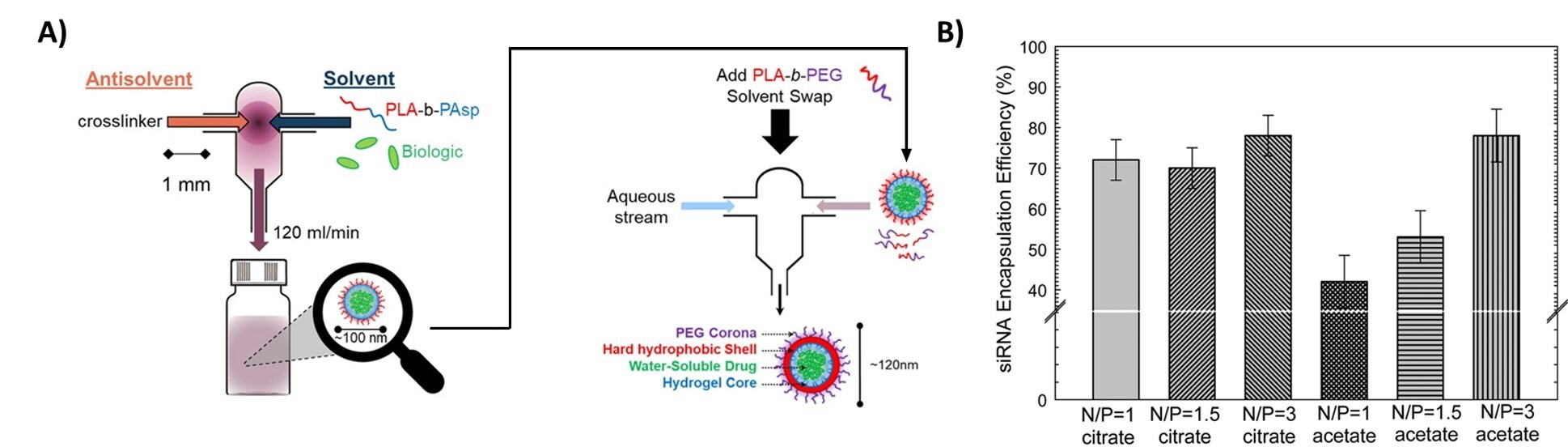 Encapsulation of hydrophilic actives (<b>A</b>) Procedure of iFNP. Precipitation of a biologic or another hydrophilic active occurs by mixing with an organic antisolvent. The resulting inverse nanoparticle is then coated with a second polymer to form a water-dispersible nanoparticle. Reproduced with permission from reference 20, copyright 2014 ACS Publishing. (<b>B</b>) Encapsulation of siRNA using charge pairing. Neutralization of anionic siRNA by cationic lipids allows for the formation of siRNA nanoparticles with very high encapsulation efficiency. Reproduced with permission from reference 21, copyright 2019 Royal Society of Chemistry. Encapsulation of hydrophilic actives