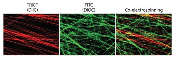 Fluorescent images of functionalized electrospun fibers with incorporating different fluorescence dyes