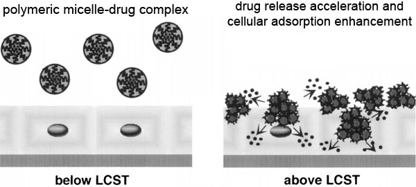 Applications of Stimuli-responsive Polymers
