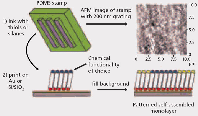 Schematic overview of microcontact printing