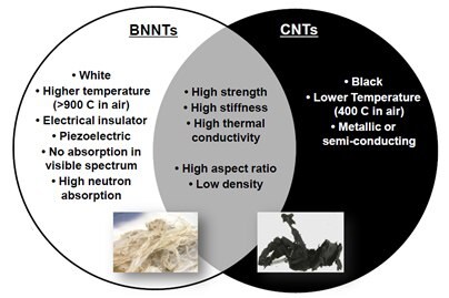 Comparison of the main properties of BNNTs and CNTs
