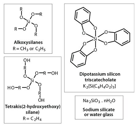 Chemistries of silica precursors typically used in bio-inspired silica synthesis.