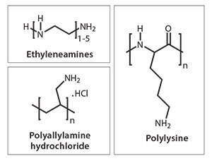 Structures of selected additives typically used in bio-inspired silica synthesis.