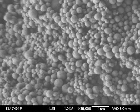 Scanning Electron Microscopy image of a typical mesoporous silica material such as those offered by Aldrich Materials Science