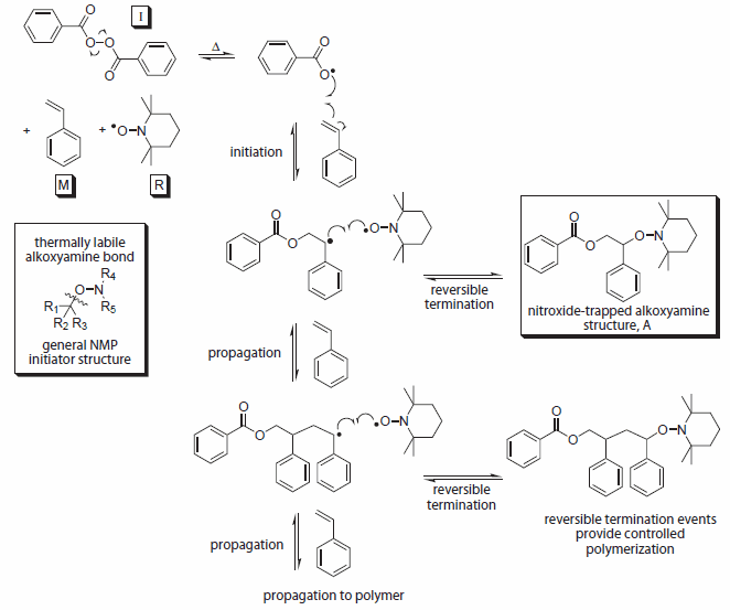 Overall Mechanism For NMP