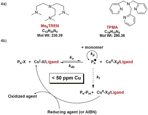 Ligands for highly active ATRP catalysts