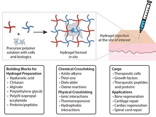 Injectable hydrogels for cell delivery and tissue engineering applications