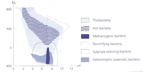 The relationship between redox potential, pH and microbial growth
