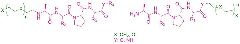 AVP-based lead compounds are turned into degrader building blocks through linker conjugation at the N- or C-terminus.