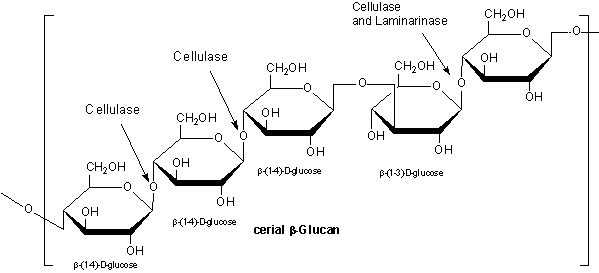 Polymer of β-(1-4)-D-glycopyranosyl units occurring as predominantly
