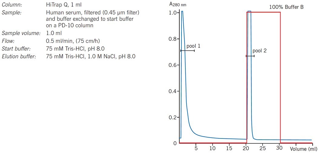 Group separation of serum proteins on HiTrap Q HP
