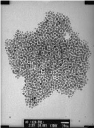 TEM micrograph of self-assembled gold particles
