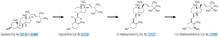 Synthesis of 1,25-dihydroxyvitamin D2