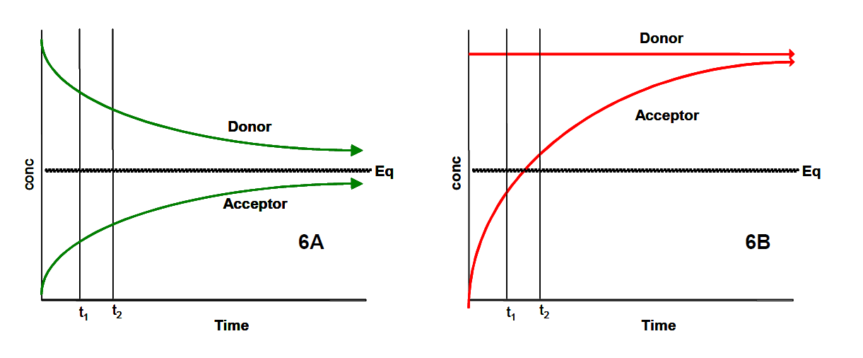 The Effects of Determining Permeability At (6A) or Above (6B) the Limit of Aqueous Solubility. Legend: Eq = equilibrium; conc = compound concentration; t<sub>1</sub> = time point 1; t<sub>2</sub> = time point 2 The Effects of Determining Permeability