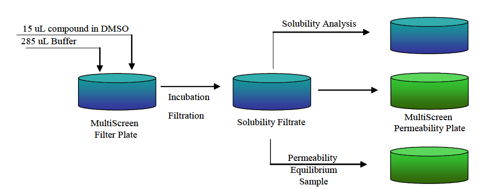 Schematic of a Combined Solubility and PAMPA Schematic of a Combined Solubility and PAMPA