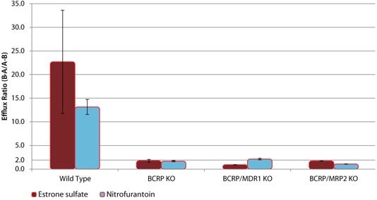Efflux of BCRP Substrates in wild-type (WT) and BCRP knockout (KO) cell lines