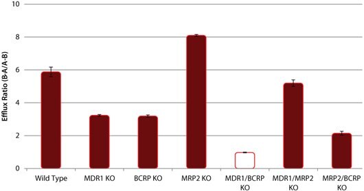 Efflux of Cimetidine in wild-type (WT) and P-gp, BCRP, and MRP2 knockout (KO) cell lines