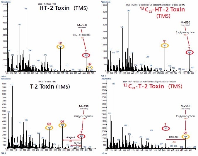 EI-Mass spectra of the TMS-derivatives of unlabelled and fully 13C isotope-labelled T-2 Toxin and HT-2 Toxin
