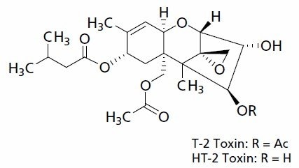 Molecular structure of the Trichothecenes T-2 Toxin and HT-2 Toxin