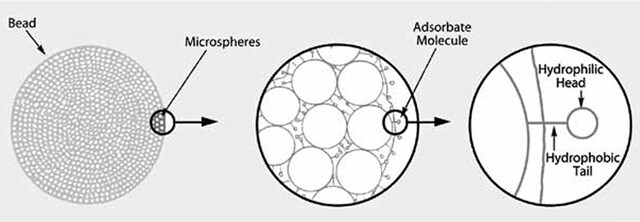 Structure of Hydrophobic Macroreticular Resin Bead