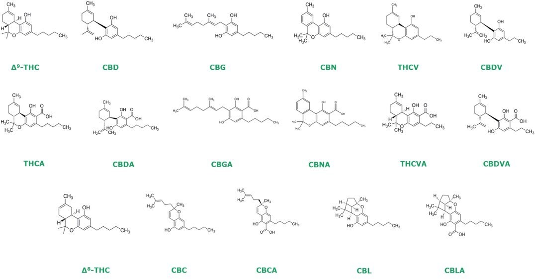 Chemical structure of 17 cannabinoids