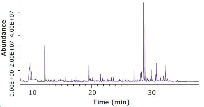 Headspace SPME-GC/MS Analysis of Dried Hops Flowers, Increased Sample Equilibration Temperature
