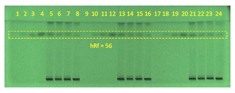 Developed HPTLC plate at 254 nm, chromatographic data shown in the table above.