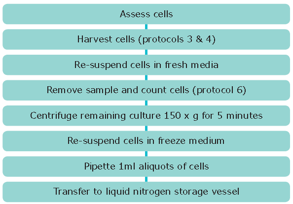 Cryopreservation of Cell Lines Cryopreservation of Cell Lines