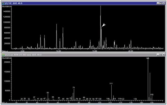 TIC Chromatogram of Indoor Air Sampling