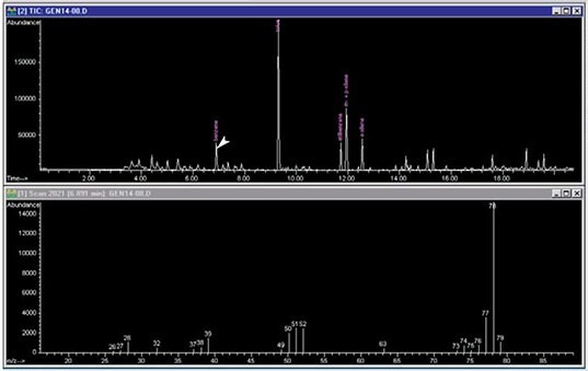 TIC Chromatogram of Outdoor Urban Sampling