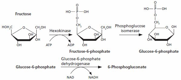 Fructose assay kit Fructose is phosphorylated by ATP in a reaction catalysed by hexokinase.