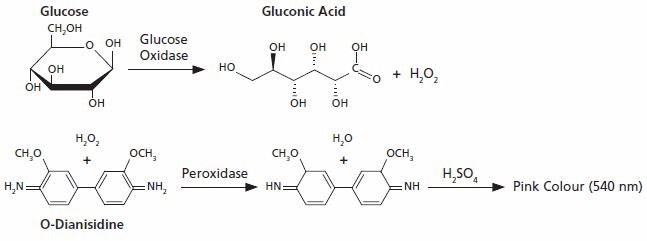 Glucose (GO) assay kit Detection of glucose via glucose oxidase (GO) and peroxidase