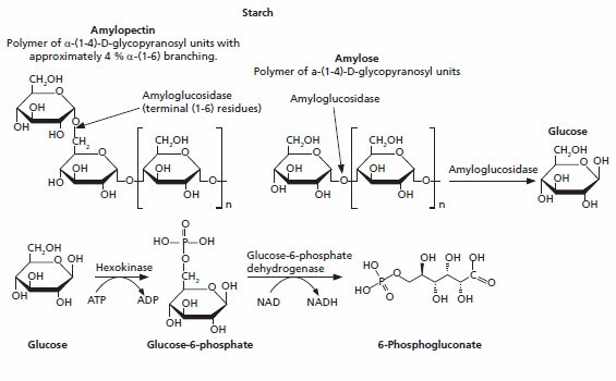 Starch (HK) assay kit The hydrolysis of starch to glucose is catalysed
