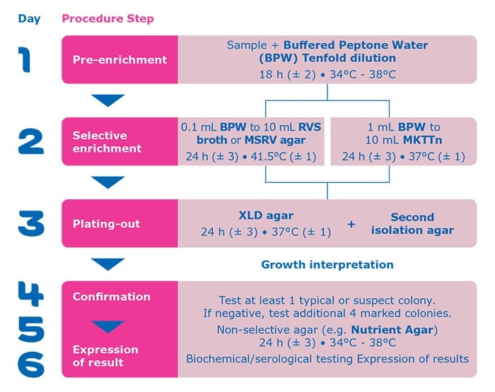 Procedure steps for Salmonella detection