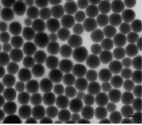 TEM image of uniform, monodisperse chemically synthesized selenium nanoparticles