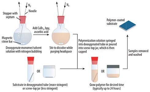 Typical experimental procedure for SIP by ARGET ATRP